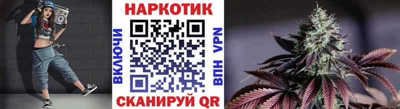 Купить наркотик Елизово Псилоцибиновые грибы  Бутират  COCAIN  mega   МАРИХУАНА  СК  Мефедрон  ГАШ 