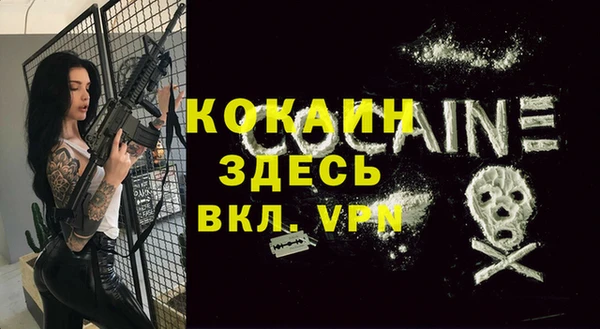 Альфа ПВП Дмитриев