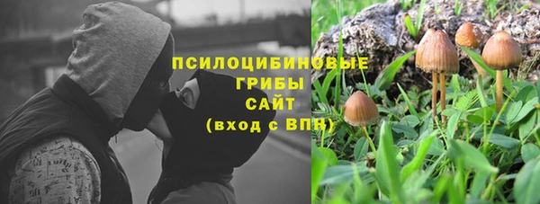 Альфа ПВП Дмитриев