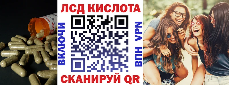 дарнет шоп  Елизово  Лсд 25 экстази кислота 