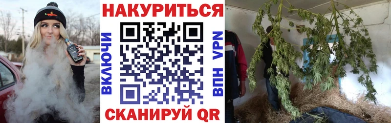 Бошки Шишки Bruce Banner  как найти закладки  Елизово 